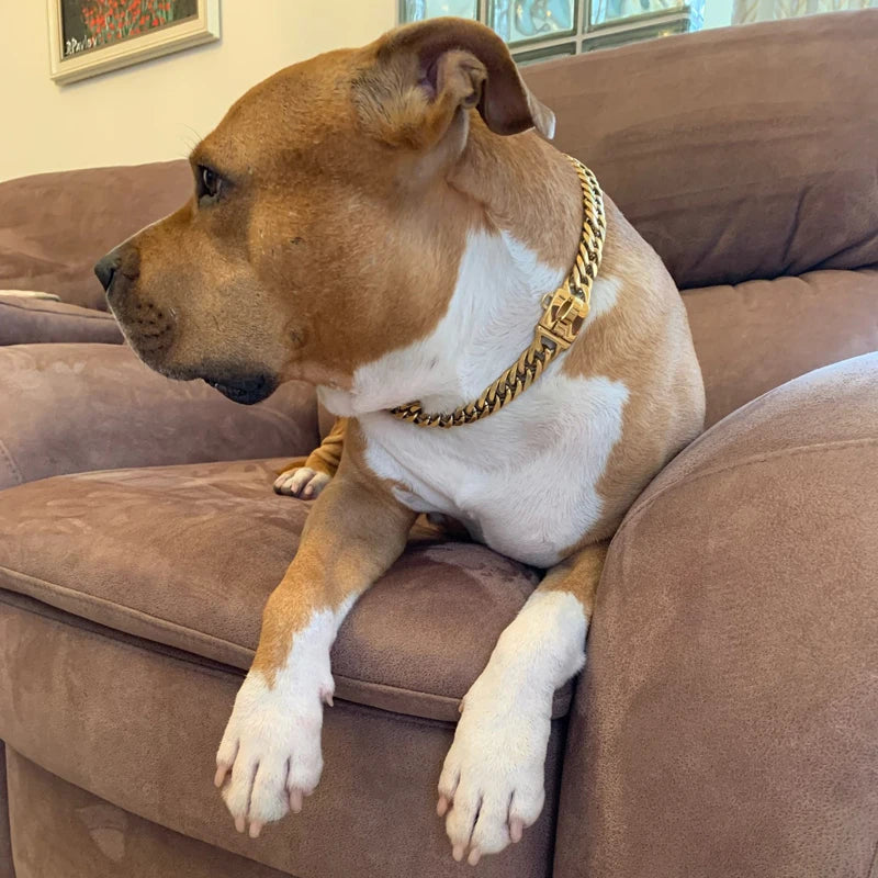 Pet Chain Dog Collar Leash