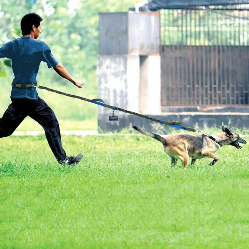 Pet Dog Running Belt Elastic Reflective Leash