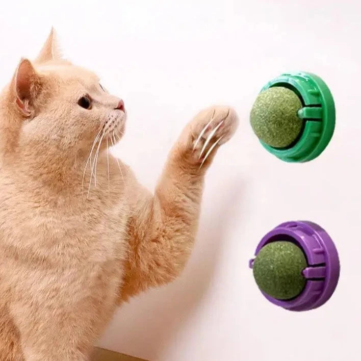 Cat Toys Catnip Wall Ball