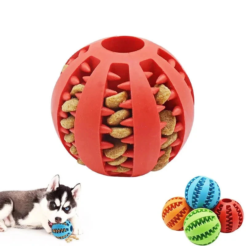 Interactive Elasticity Puppy Chew Ball Toy
