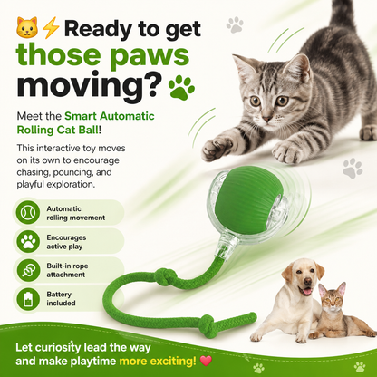 Smart Automatic Rolling Cat Ball